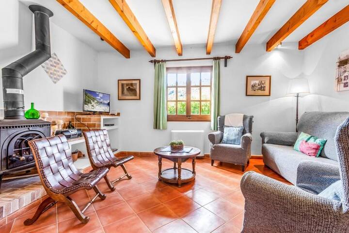 Rei Petit gallery image 5