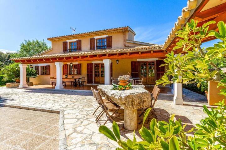 Rei Petit gallery image 4