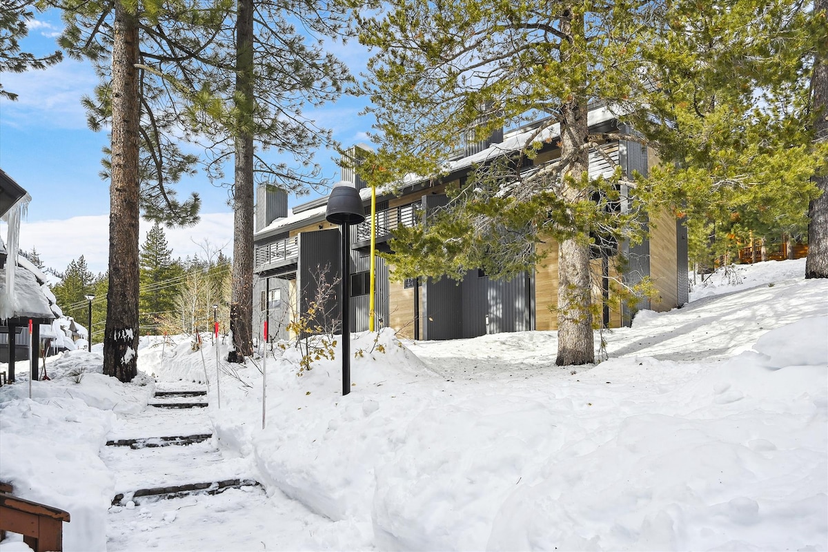 The exterior features a modern two-story structure surrounded by a snowy landscape. Tall pine trees provide shade, while a clear blue sky is visible above. Snow-covered pathways lead towards the entrance, highlighting the winter atmosphere.
