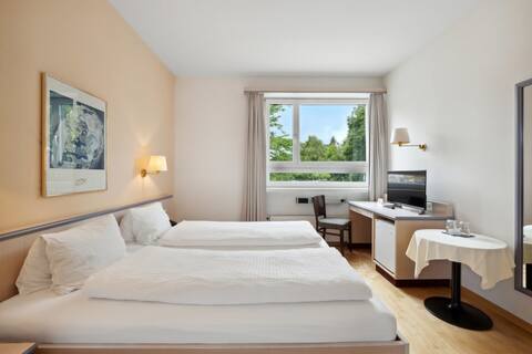 Double room with Mountain view