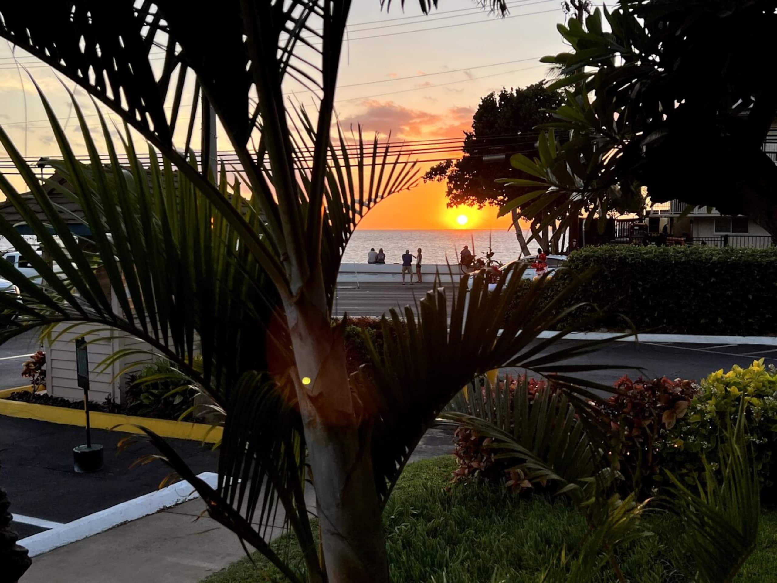 Condo in Kihei · ★4.94 · 1 bedroom · 2 beds · 1 bath - Image 48