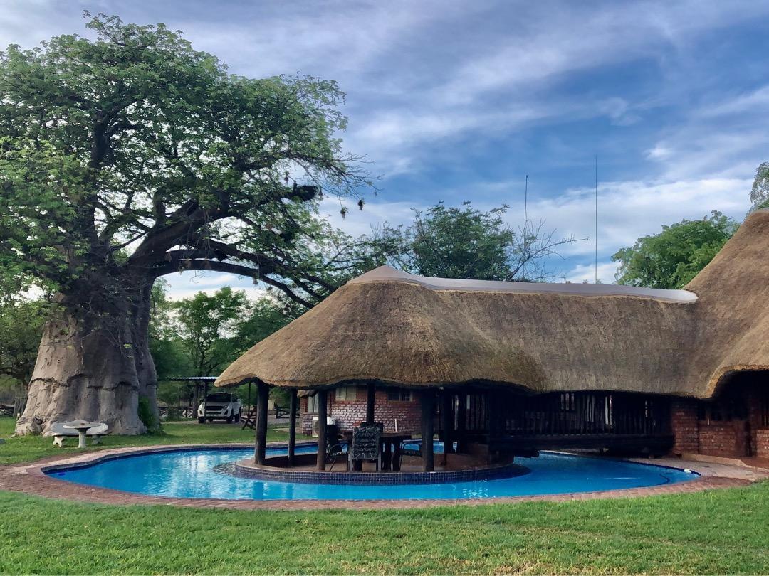 A thatched-roof structure is positioned beside a circular pool, set within a lush green yard. A large tree stands nearby, adding to the natural landscape. The pool area features a few lounge chairs, inviting relaxation under the expansive sky.