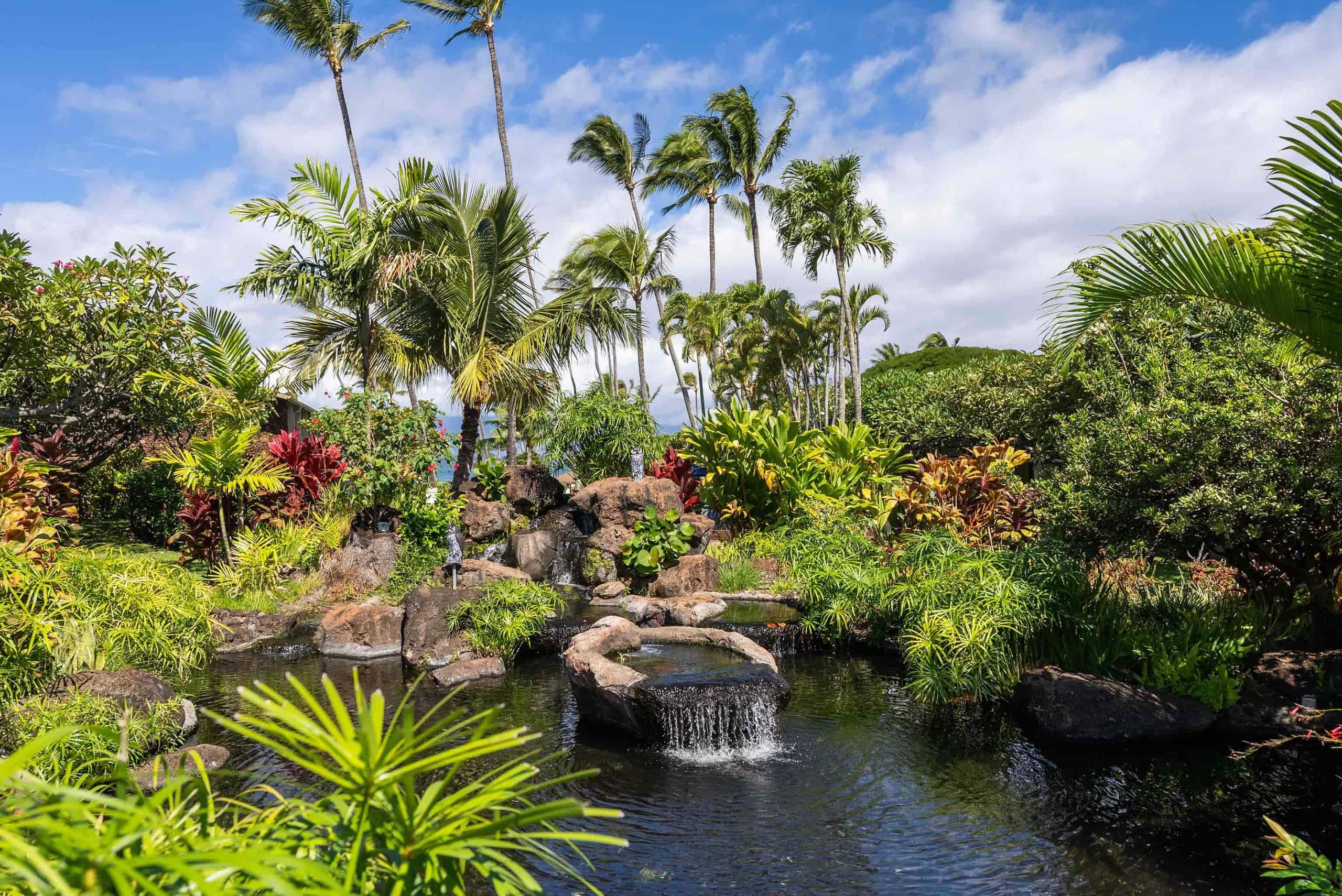 Luxury Oceanfront Studio at Napili Shores A203 Vie - Image 27