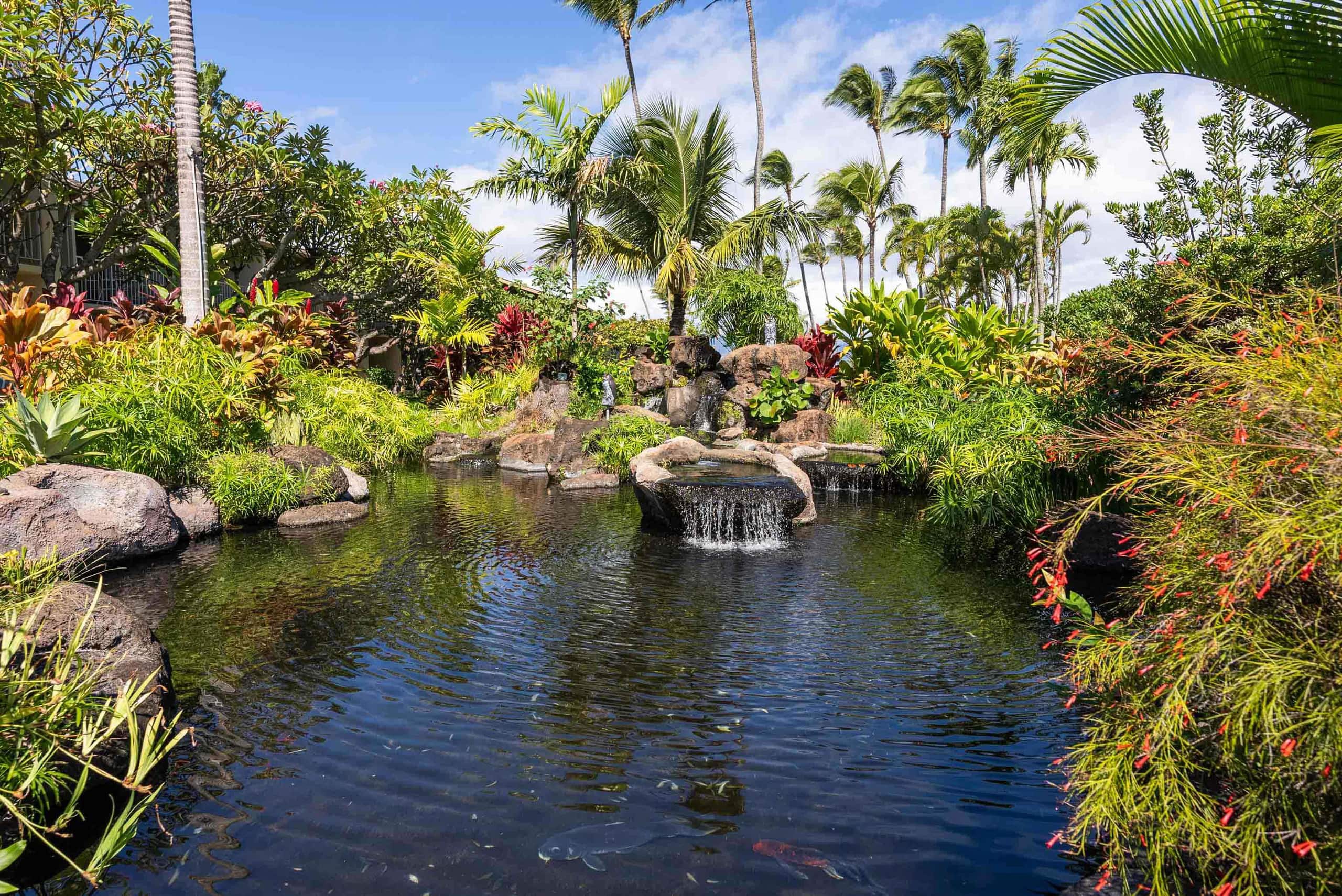 Luxury Oceanfront Studio at Napili Shores A203 Vie - Image 26