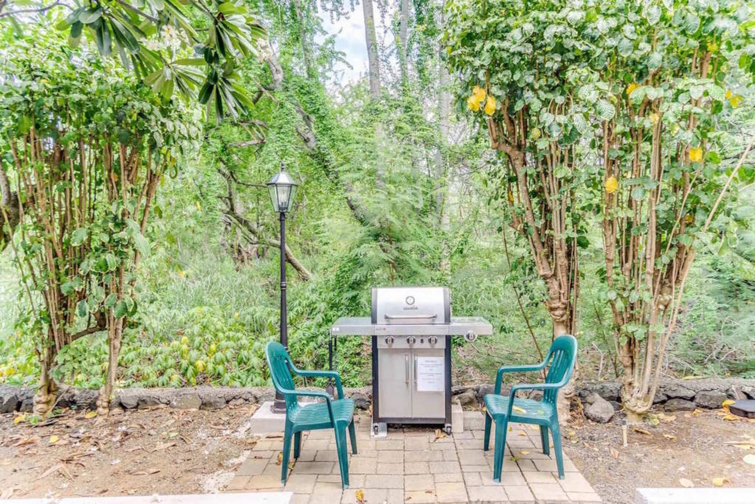 Condo in Kailua-Kona · ★4.69 · 2 bedrooms · 4 beds · 2 private baths - Image 41