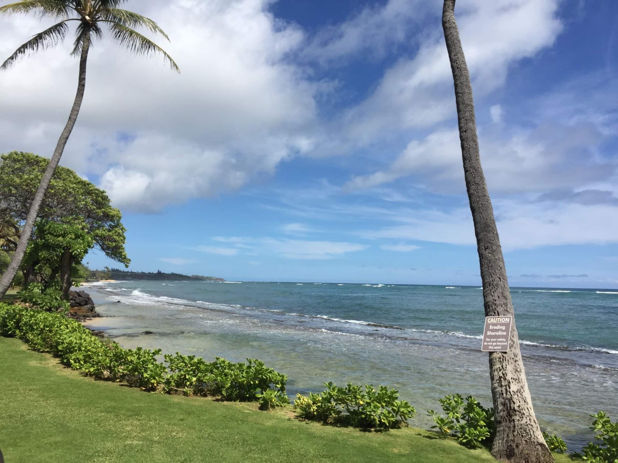 Condo in Kapaa · ★4.71 · 2 bedrooms · 2 beds · 1 shared bath - Image 30