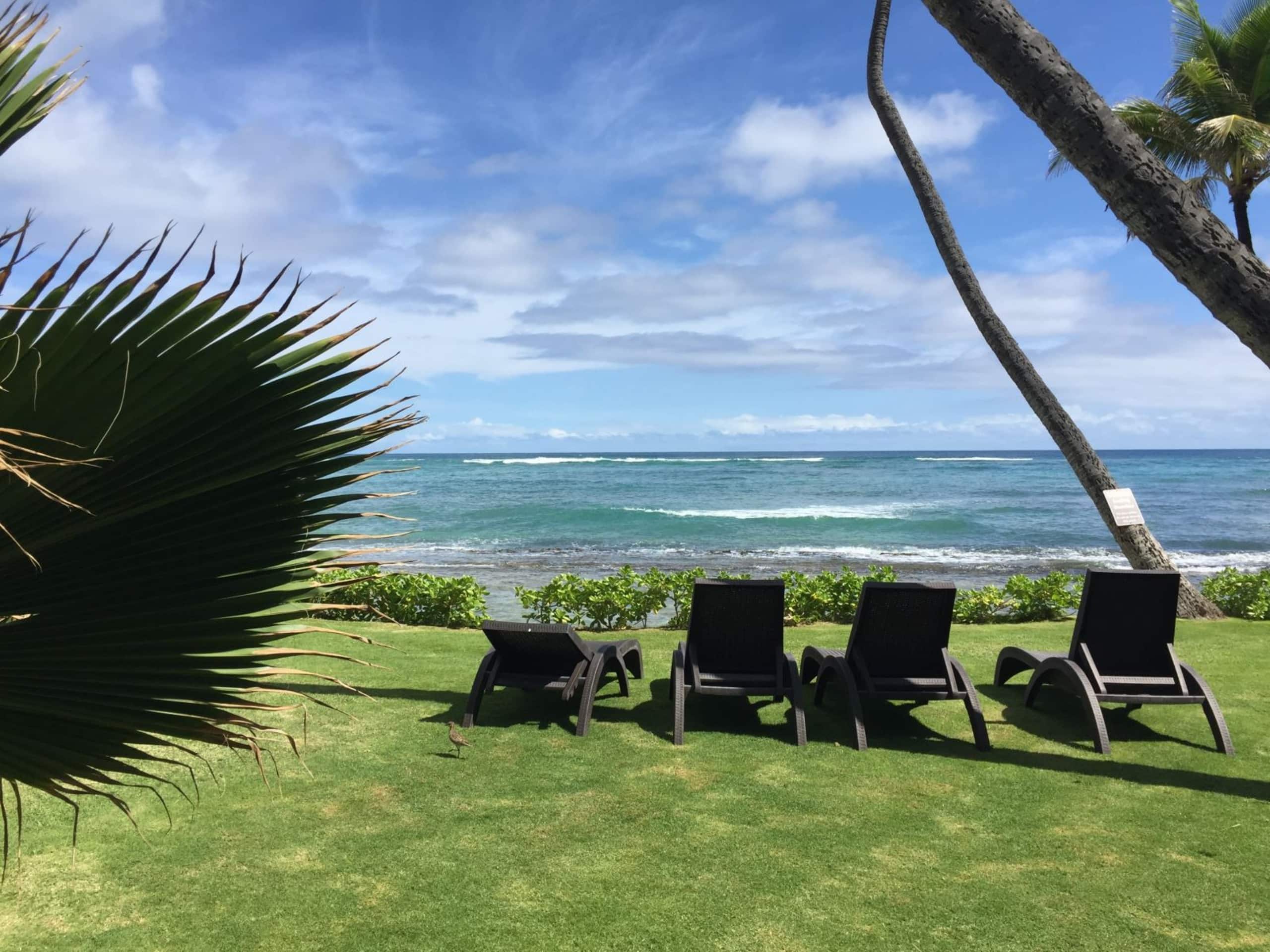Condo in Kapaa · ★4.71 · 2 bedrooms · 2 beds · 1 shared bath - Image 33