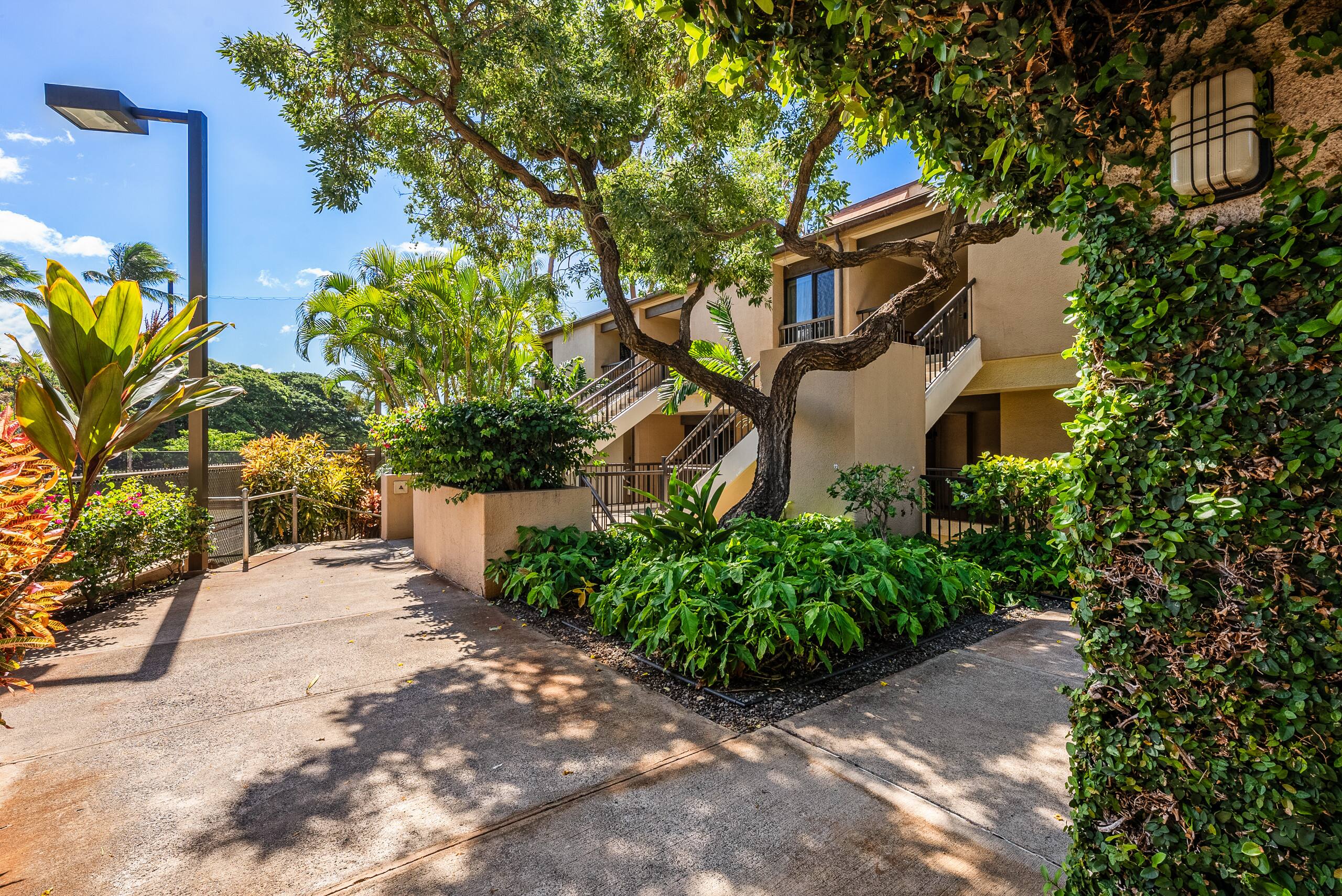 Condo in Lahaina · ★4.88 · 2 bedrooms · 3 beds · 2 baths - Image 47