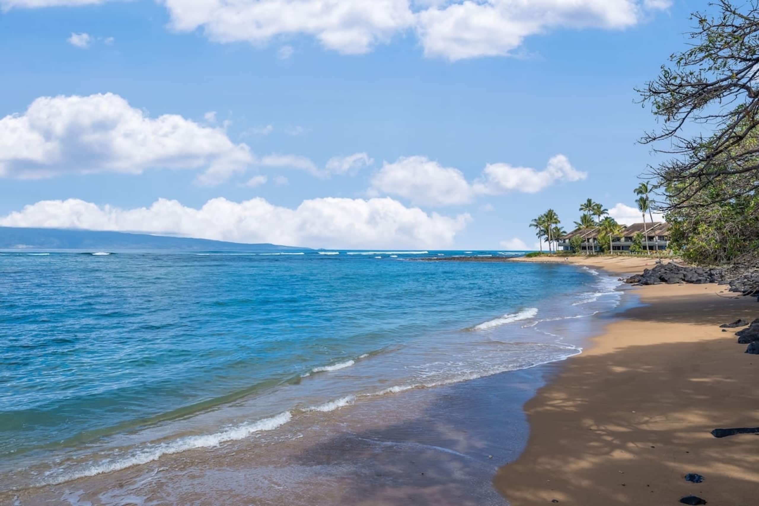 Condo in Lahaina · ★4.46 · 1 bedroom · 2 beds · 1 bath - Image 46