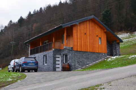 Cosy one bedroom apartment near Savinja river