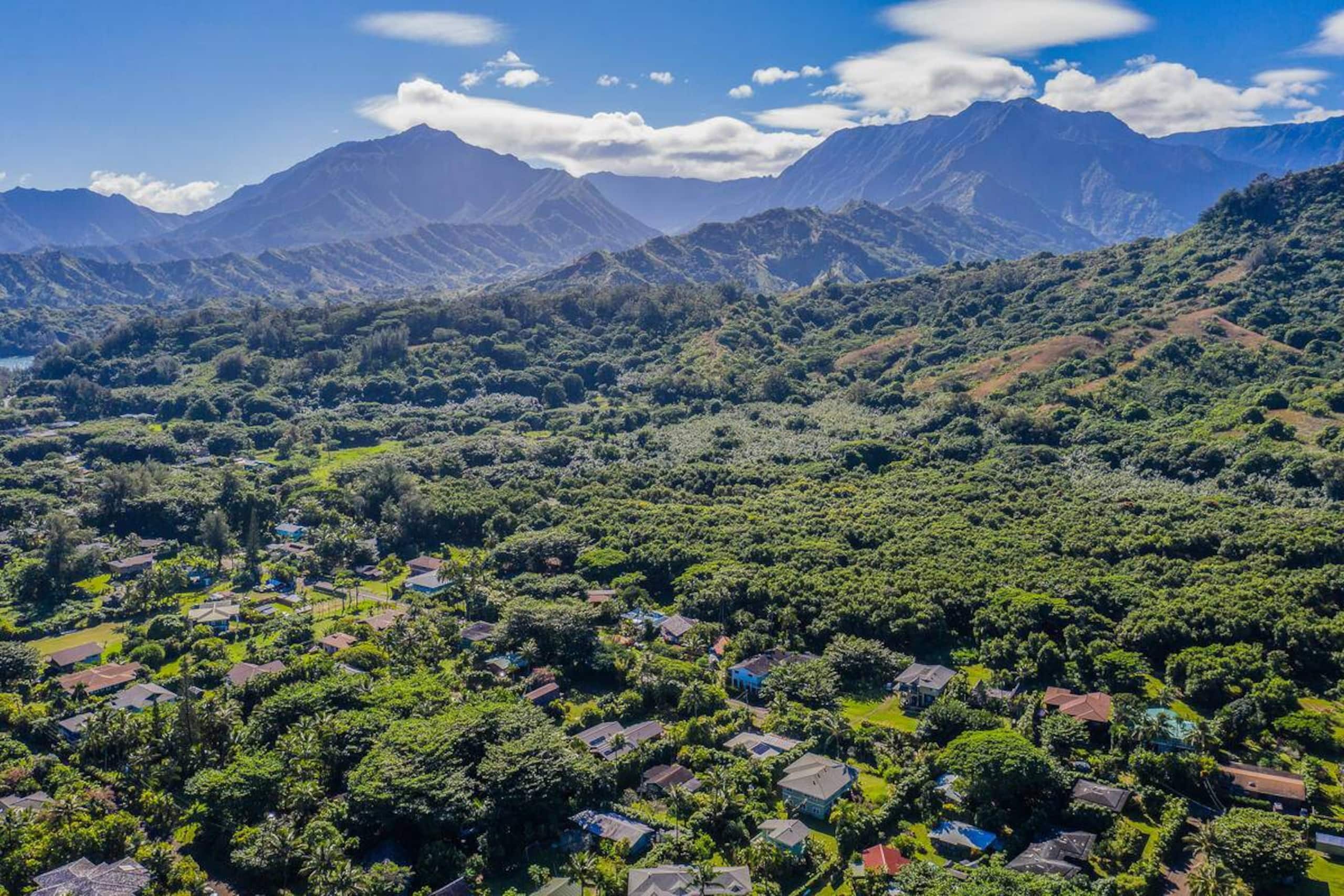 Home in Hanalei · ★4.9 · 3 bedrooms · 4 beds · 3 baths - Photo 39