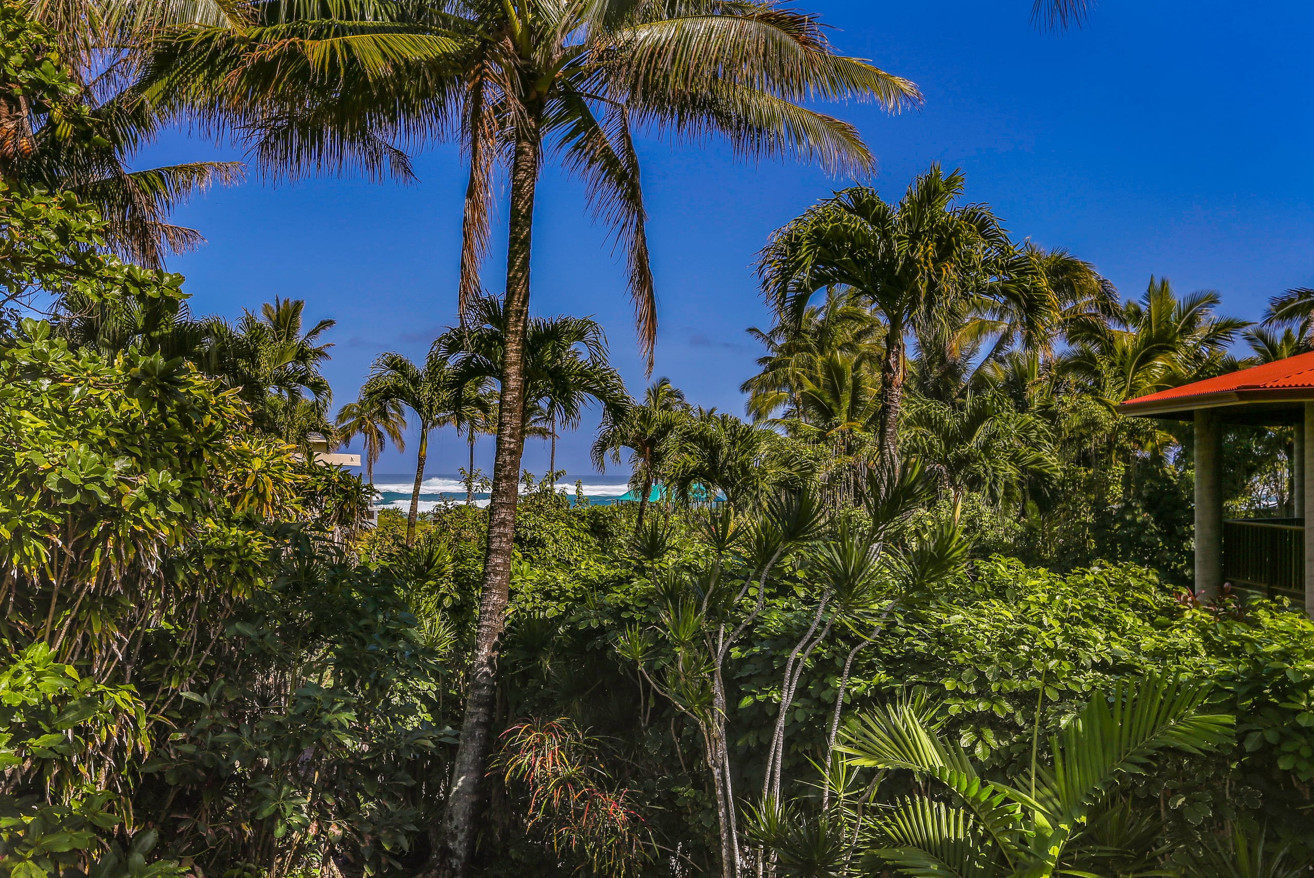 Home in Hanalei · ★4.9 · 3 bedrooms · 4 beds · 3 baths - Photo 35