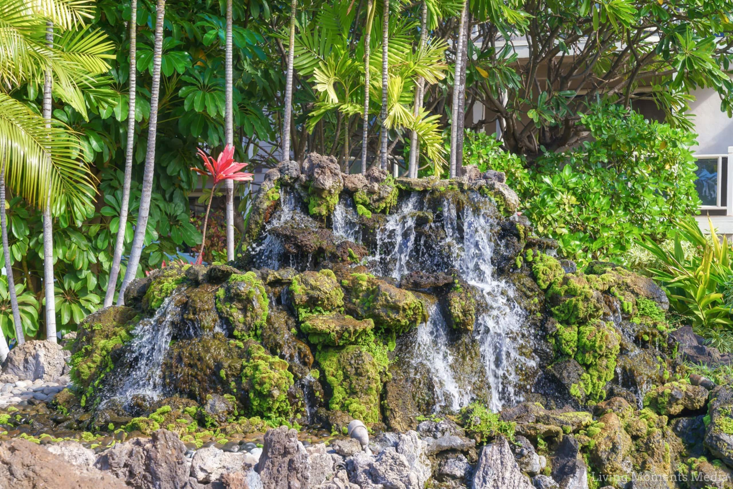 Condo in Wailea · ★4.98 · 1 bedroom · 1 bed · 1 bath - Image 38