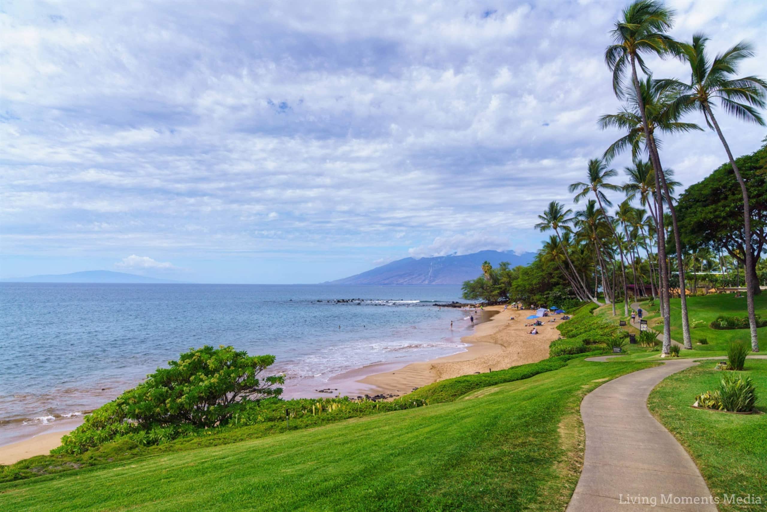 Condo in Wailea · ★4.98 · 1 bedroom · 1 bed · 1 bath - Image 54