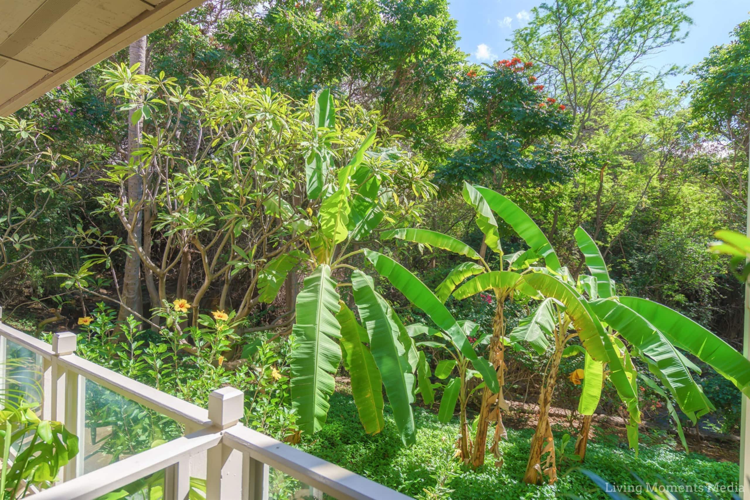 Condo in Wailea · ★4.98 · 1 bedroom · 1 bed · 1 bath - Image 13