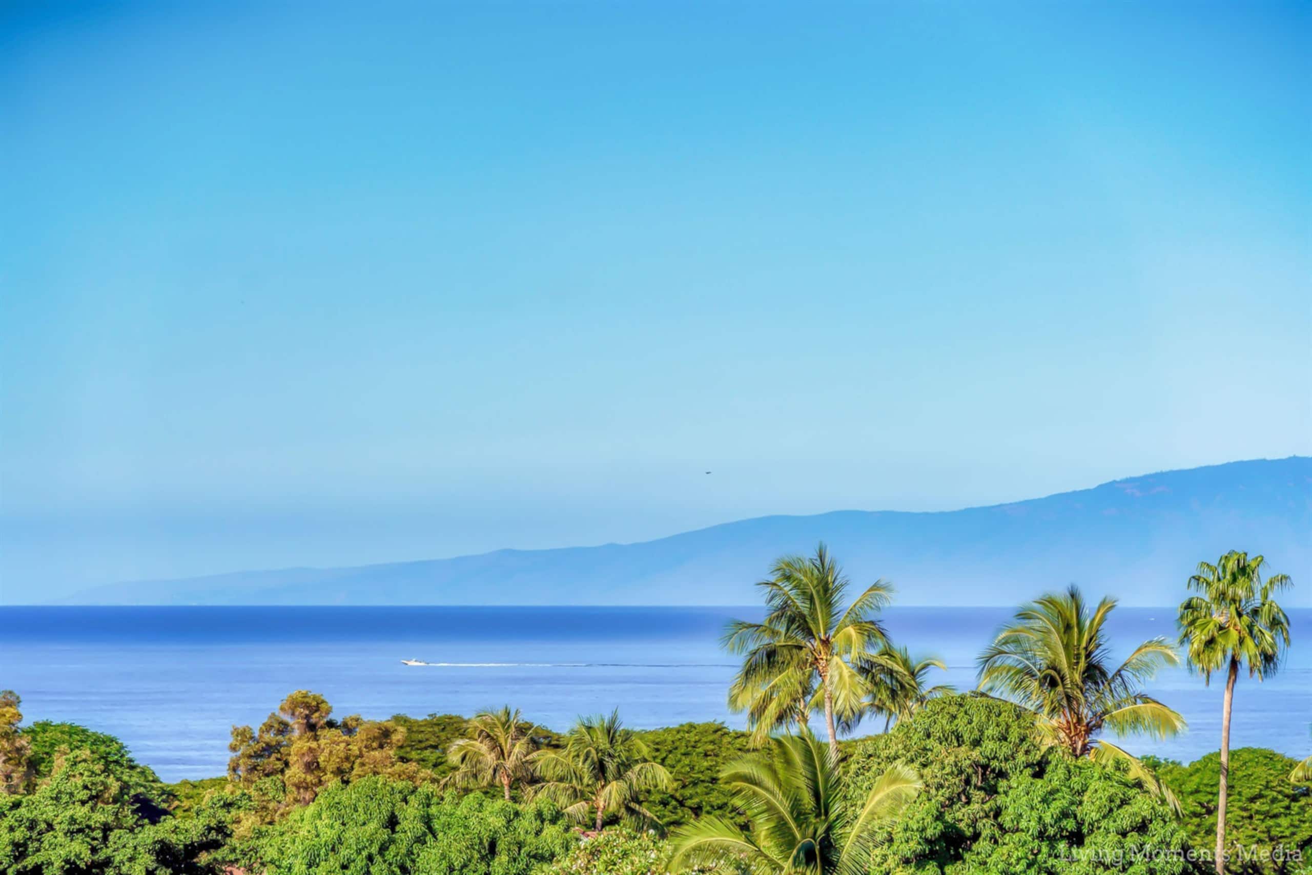 Condo in Wailea · ★4.98 · 1 bedroom · 1 bed · 1 bath - Image 44