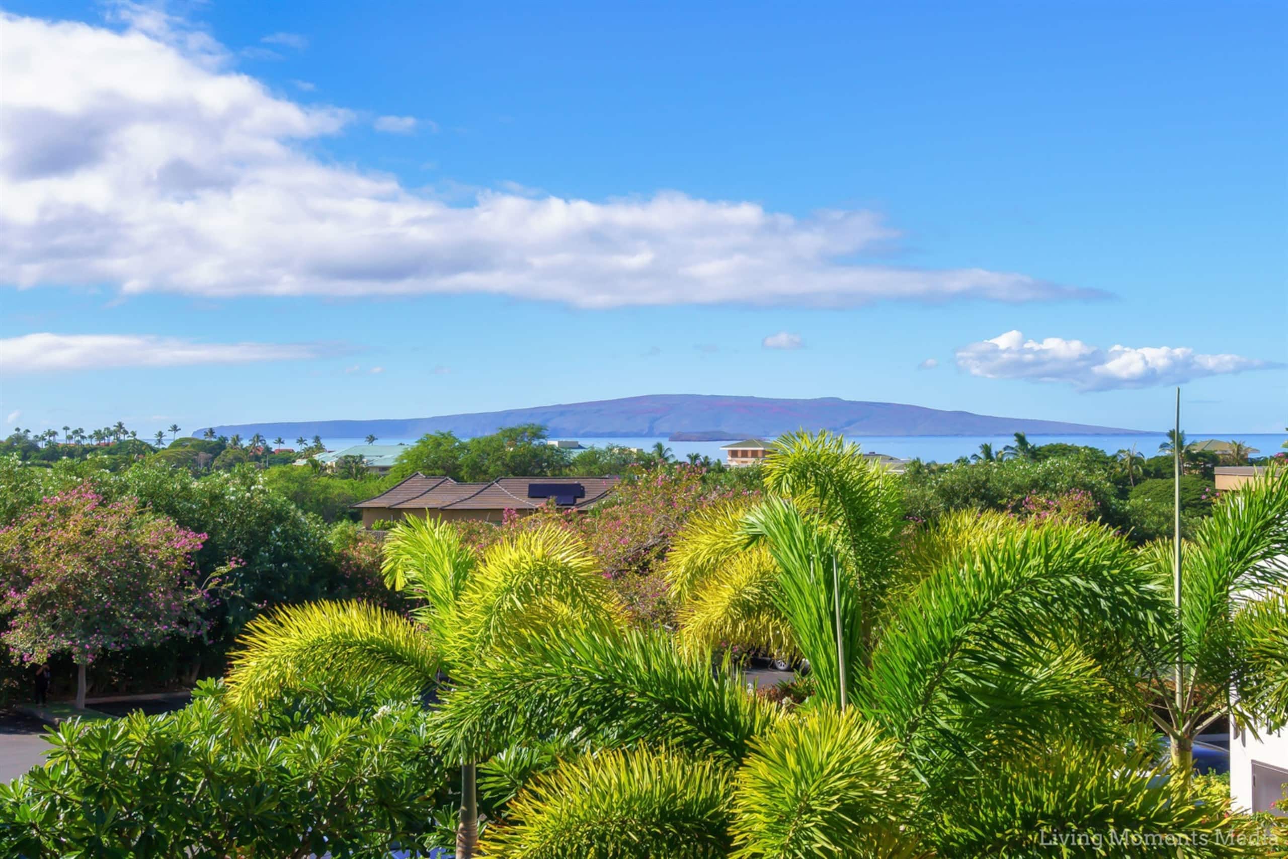 Condo in Wailea · ★4.98 · 1 bedroom · 1 bed · 1 bath - Image 45