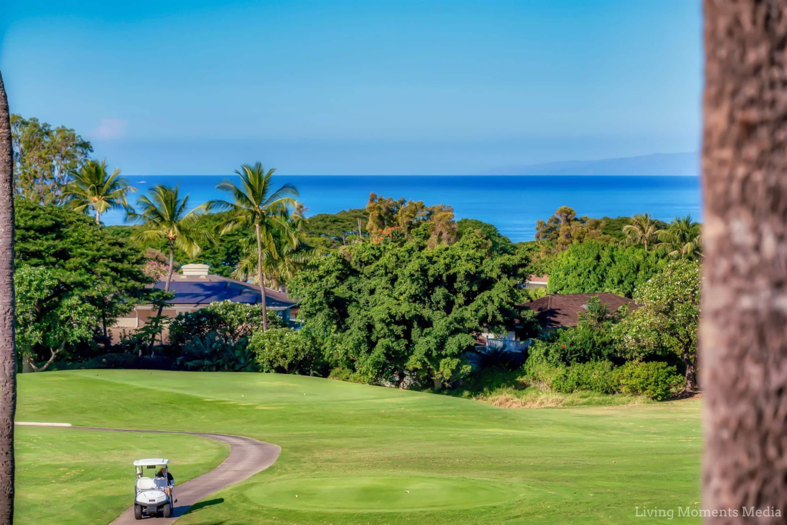 Condo in Wailea · ★4.98 · 1 bedroom · 1 bed · 1 bath - Image 46