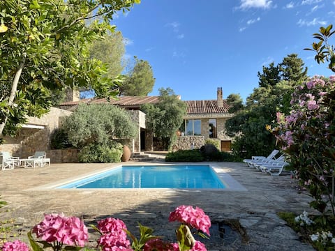 Luxury home Paraiso with pool and gym
