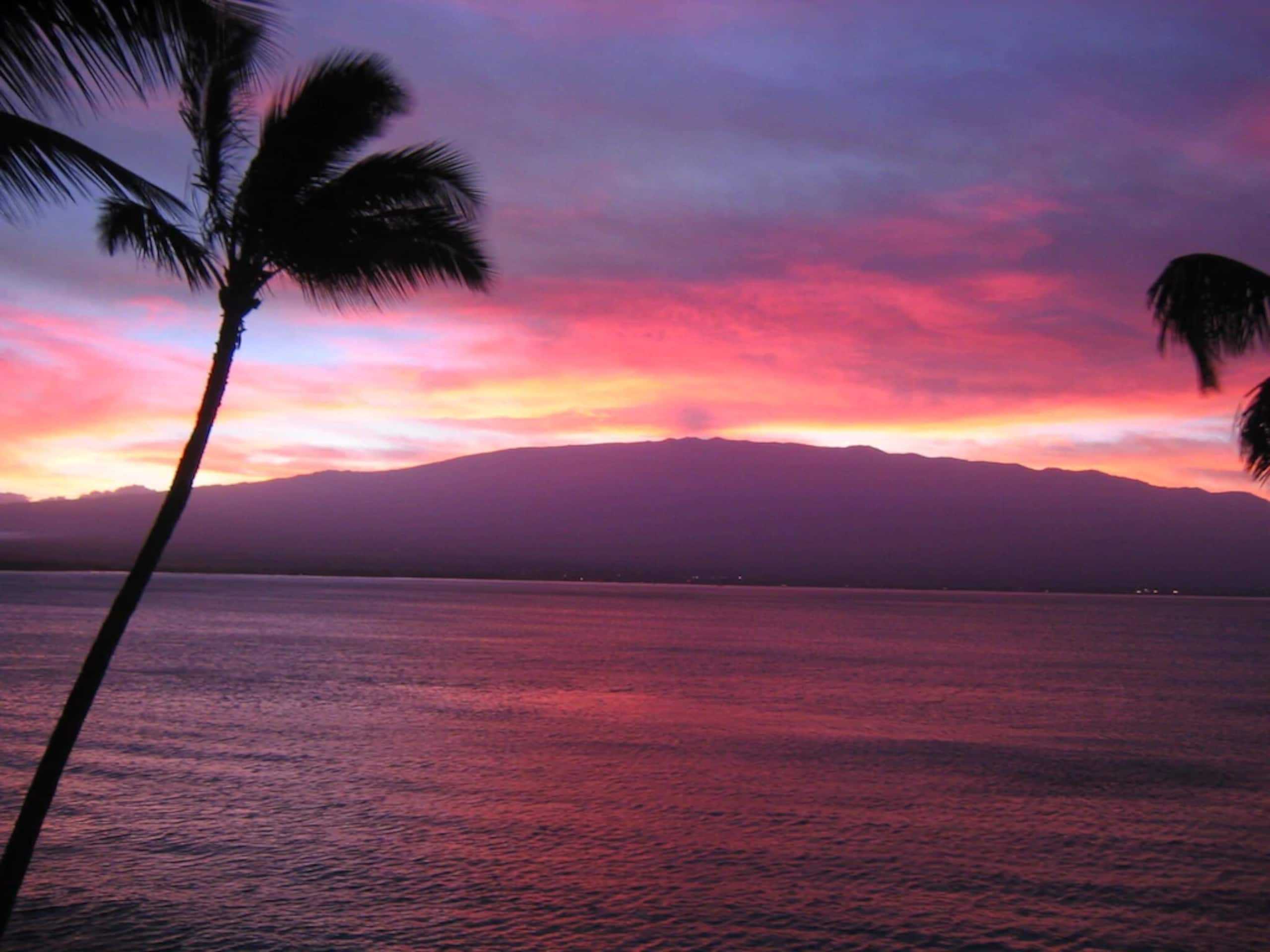 Condo in Wailuku · ★4.57 · 3 bedrooms · 5 beds · 2 baths - Image 33