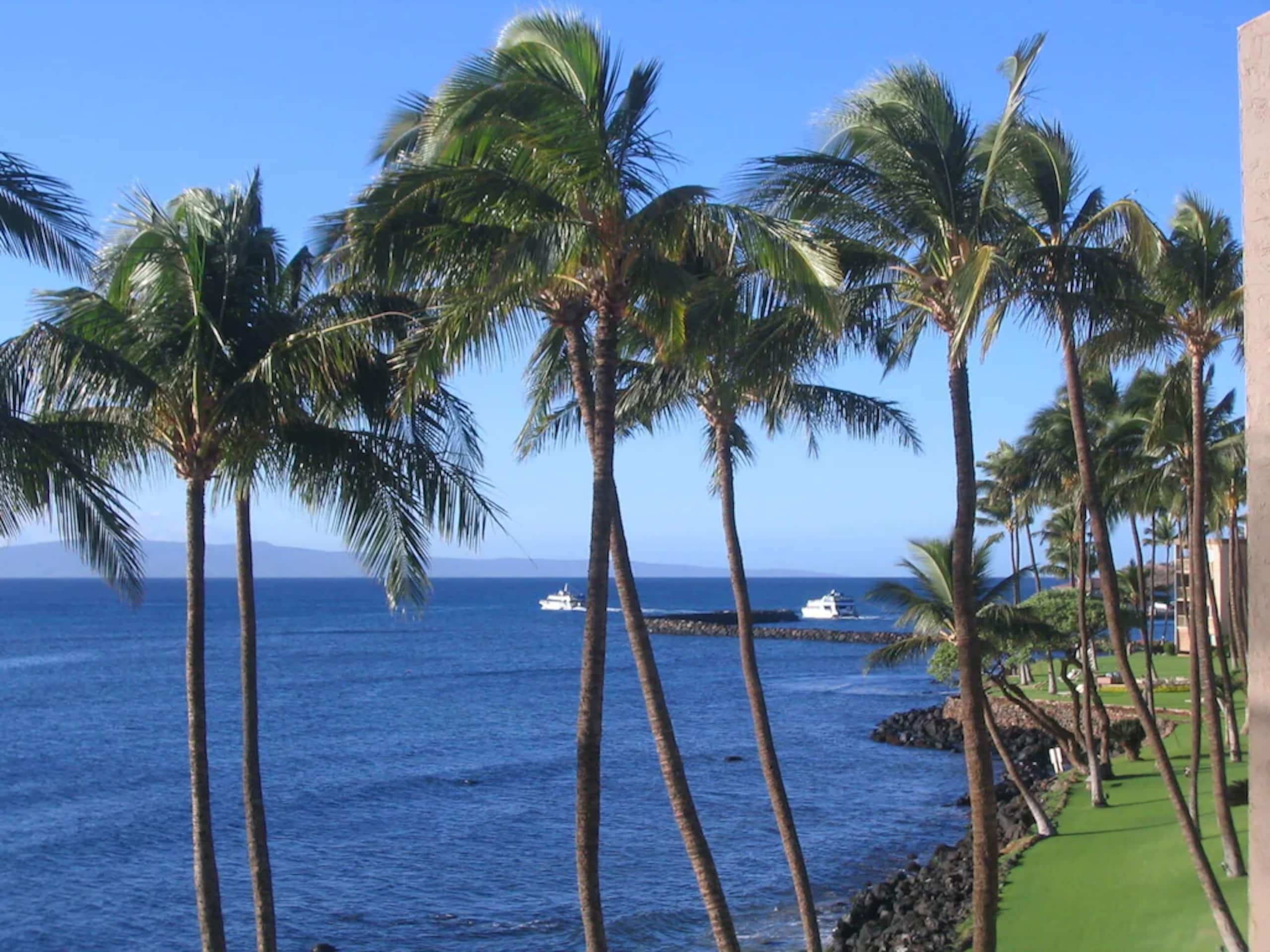 Condo in Wailuku · ★4.57 · 3 bedrooms · 5 beds · 2 baths - Image 3