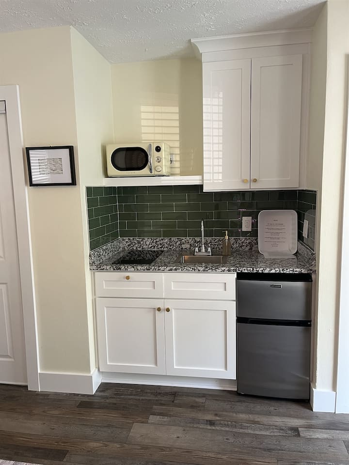 Cozy Queen Studio-kitchenette- Dt Safety Harbor - Safety Harbor, FL