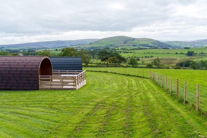 Pukeko Pod - Dog-friendly - Pooley Bridge
