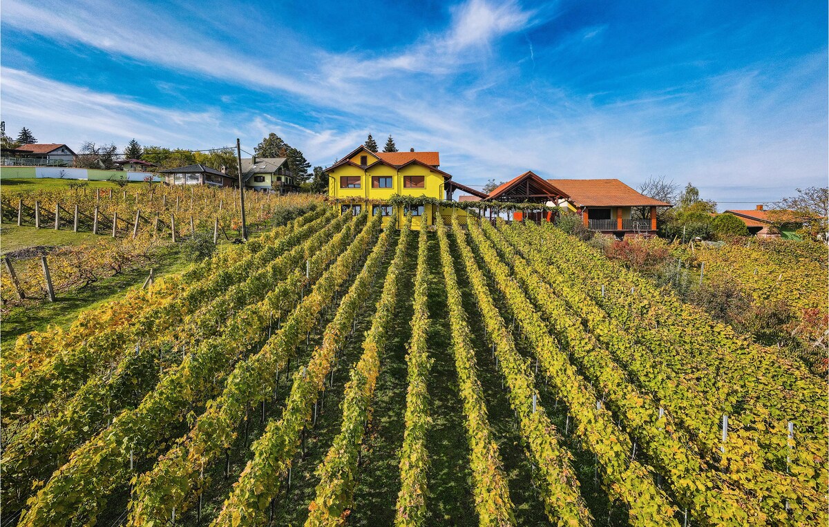 A vibrant yellow cottage is set on a hillside surrounded by lush green vineyards. Rows of grapevines extend down the slope, dotted with leaves that capture the sunlight. The sky is clear with wisps of clouds, enhancing the serene countryside atmosphere.