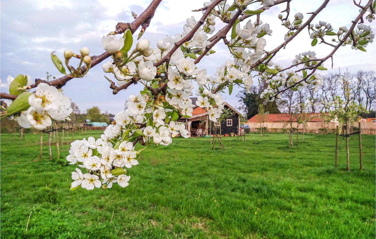 A branch covered in white blossoms extends over a lush green field. In the background, a cozy wooden house is nestled among trees, indicating a serene and private setting. Rolling hills and scattered trees enhance the peaceful countryside landscape.