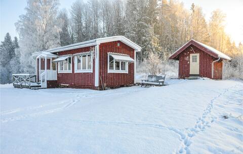 2 bedroom amazing home in Rottneros