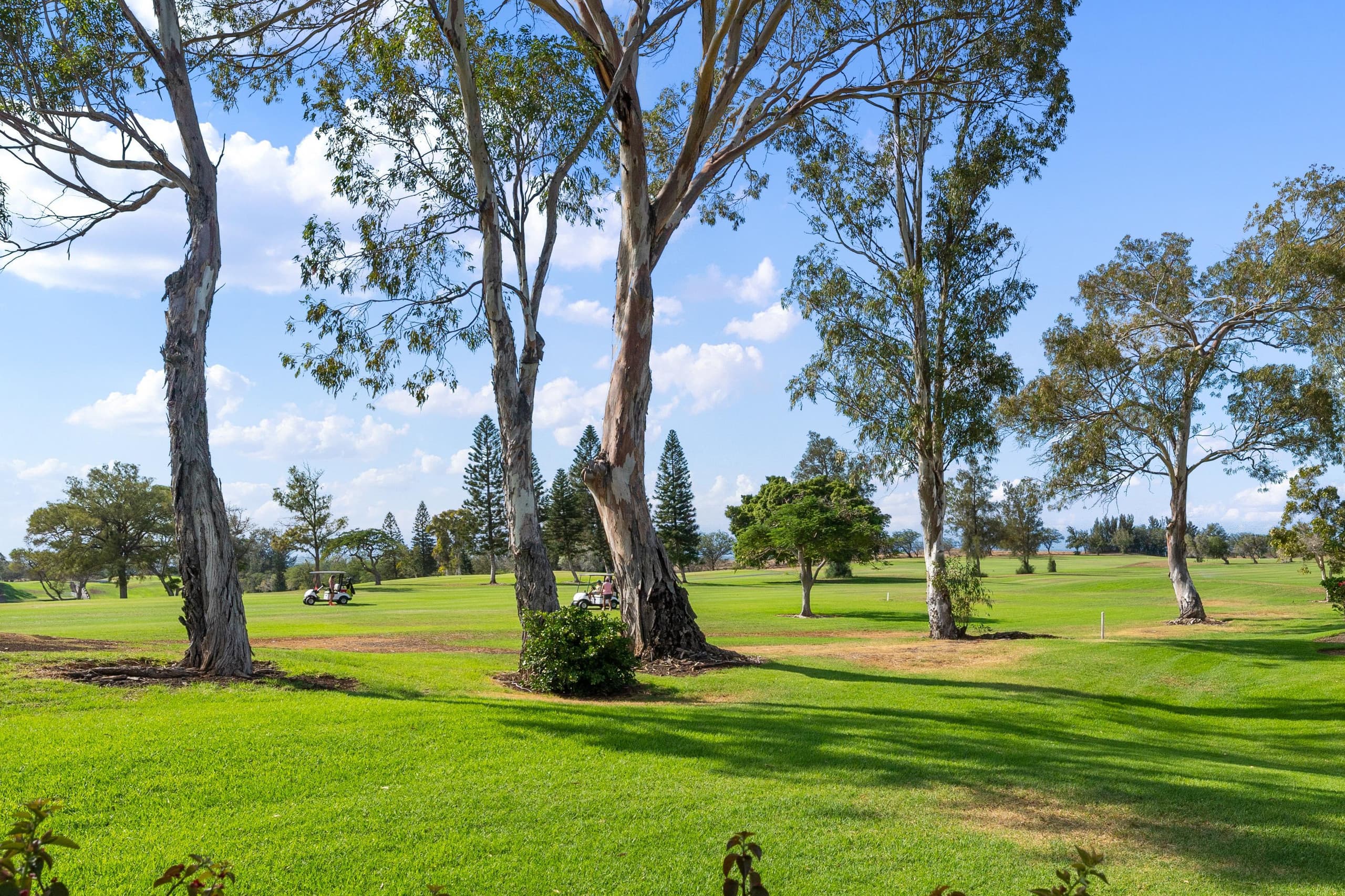 3BR villa w/ pool and golf course views - Photo 38
