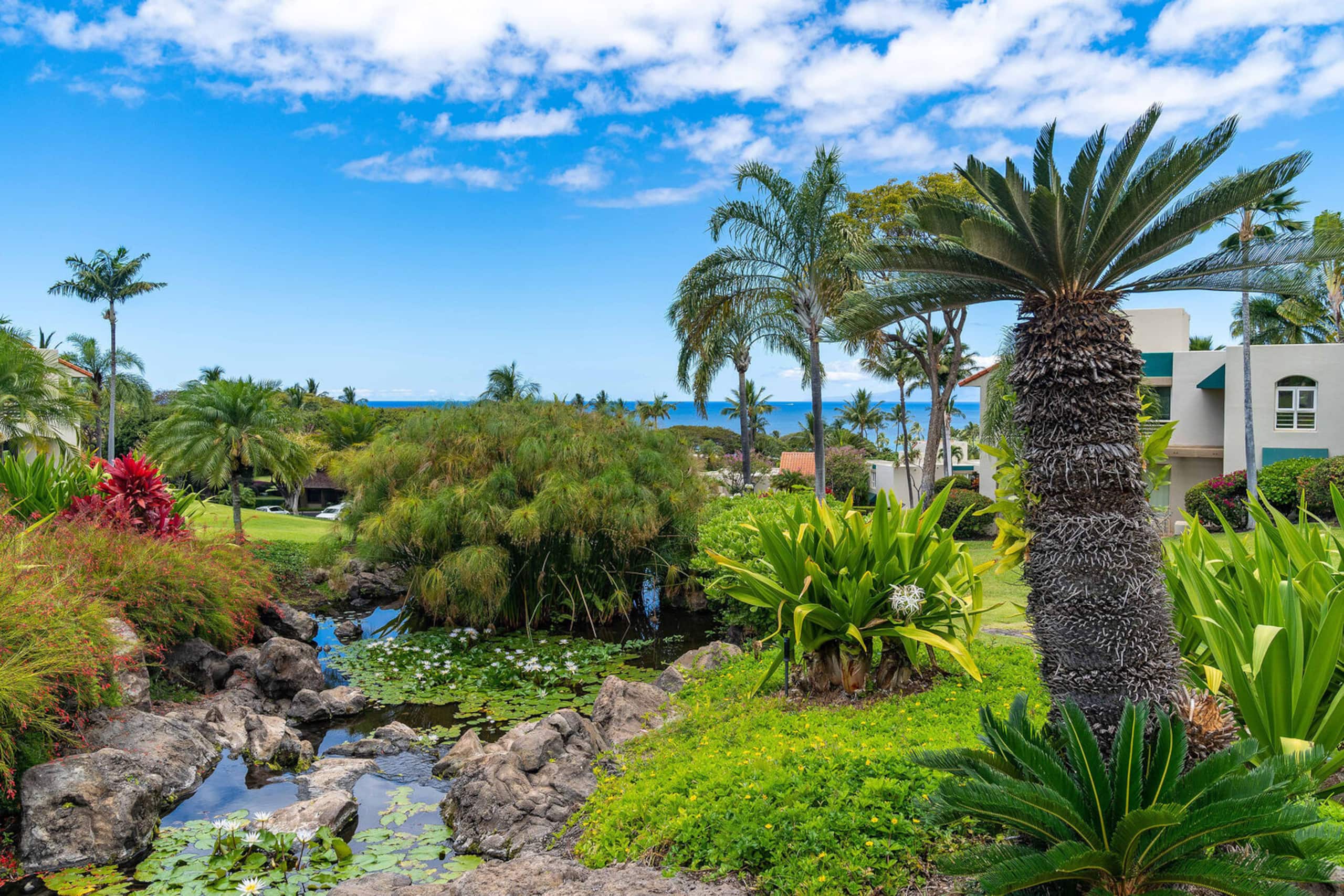Condo in Kihei · ★5.0 · 1 bedroom · 2 beds · 2 baths - Image 28