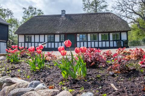 Awesome home in Ebeltoft with 3 Bedrooms