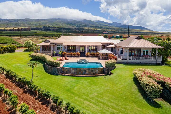 4BR Oceanview Estate | Infinity Pool + Pickleball