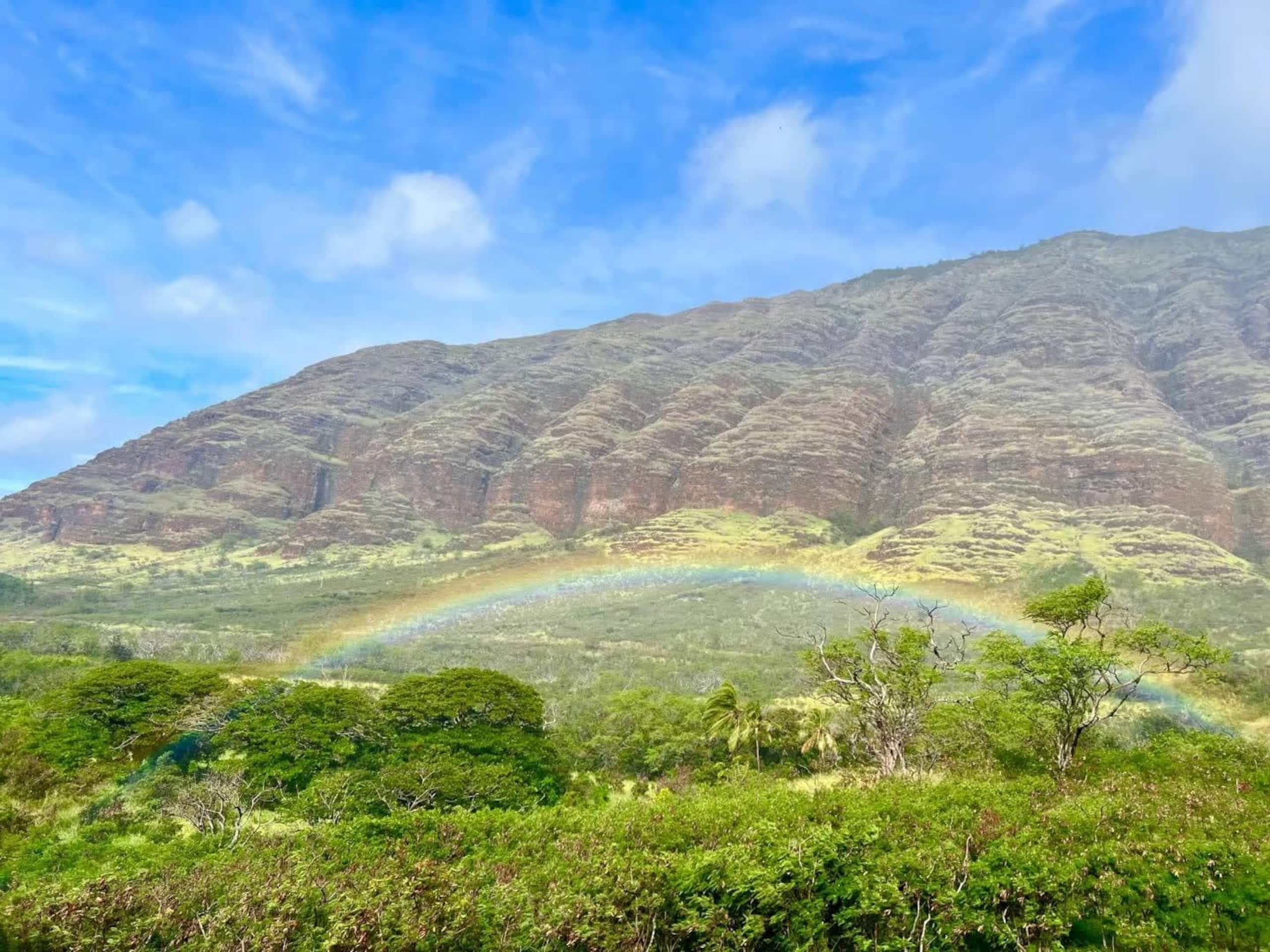 Home in Waianae · ★4.84 · 3 bedrooms · 4 beds · 2.5 private baths - Image 62