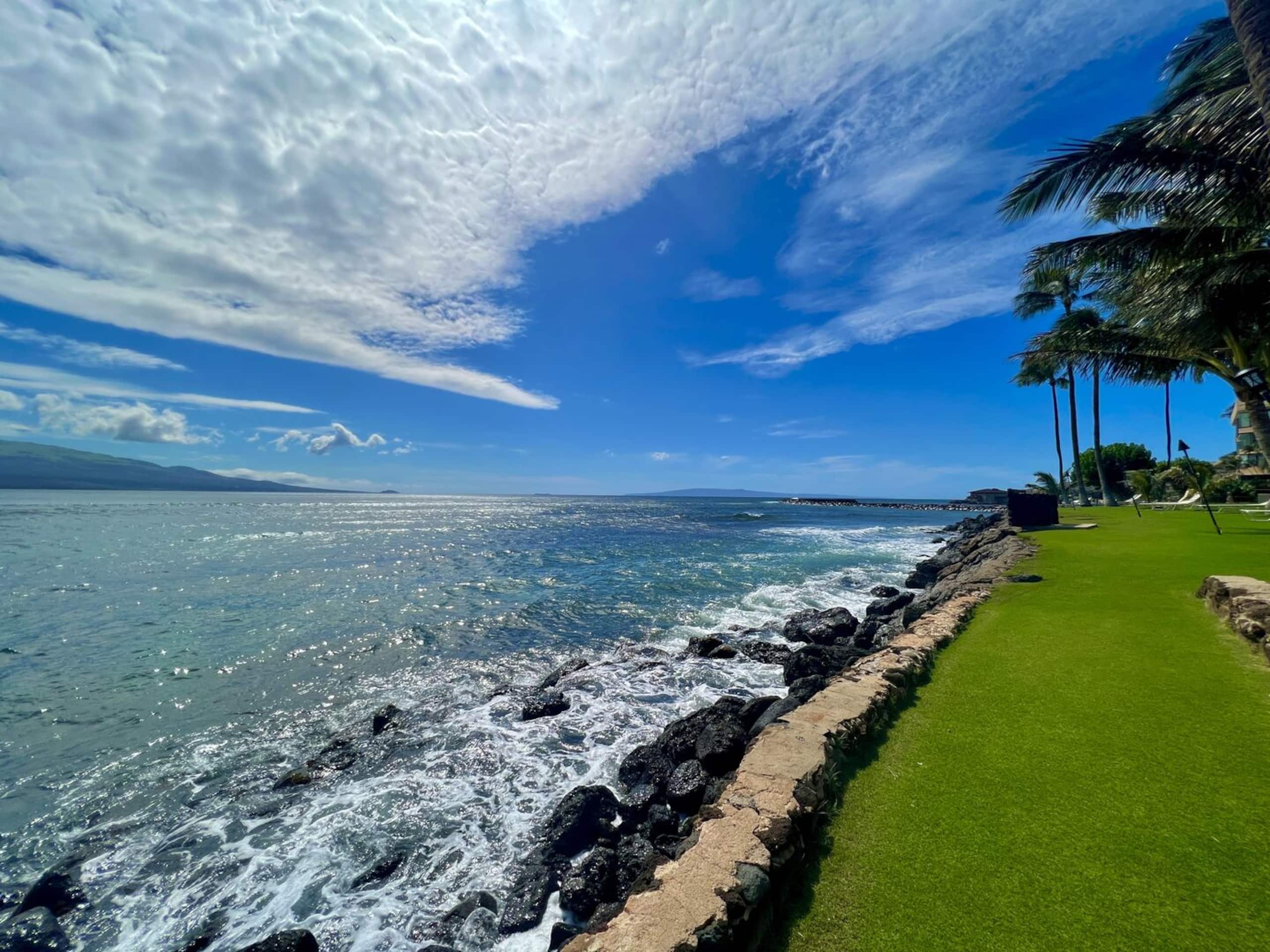 Condo in Wailuku · ★4.88 · 1 bedroom · 1 bed · 1 bath - Image 26