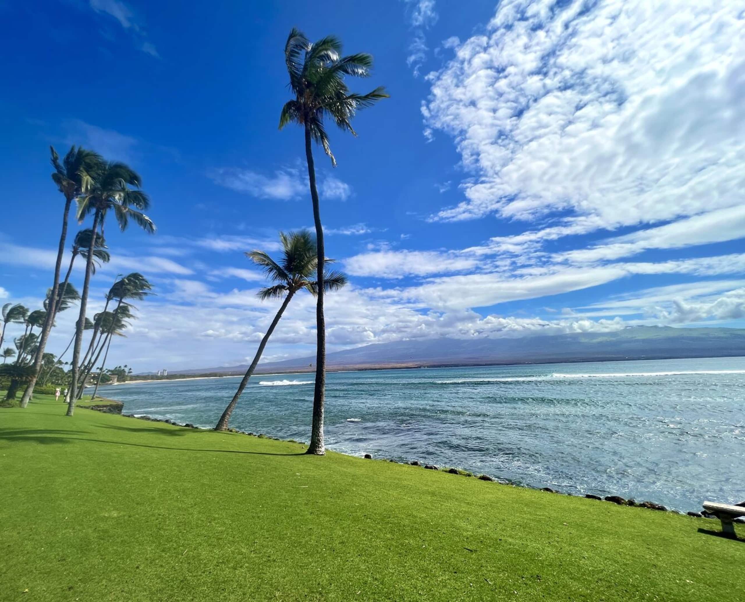 Condo in Wailuku · ★4.88 · 1 bedroom · 1 bed · 1 bath - Image 27