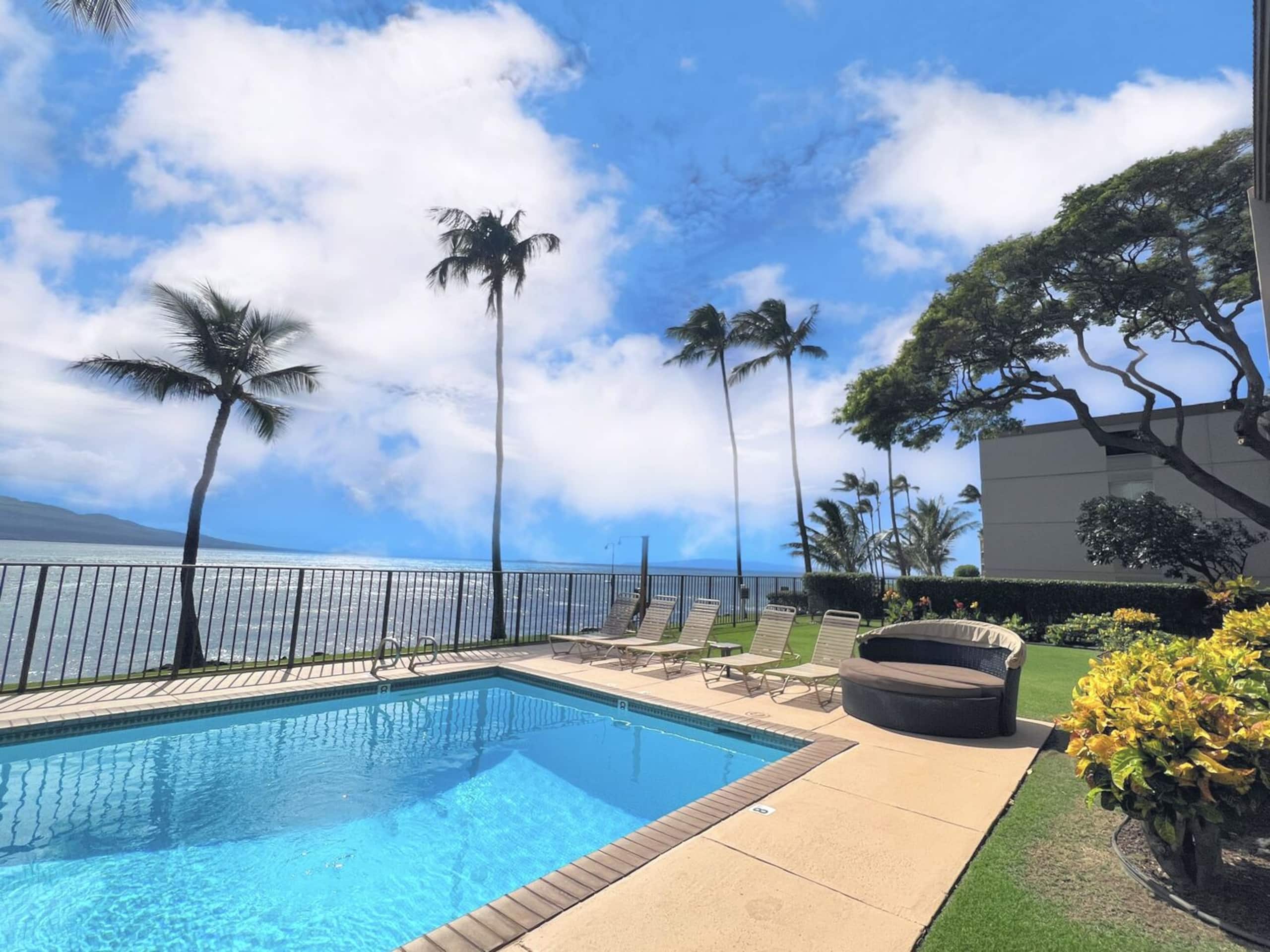 Condo in Wailuku · ★4.88 · 1 bedroom · 1 bed · 1 bath - Image 24