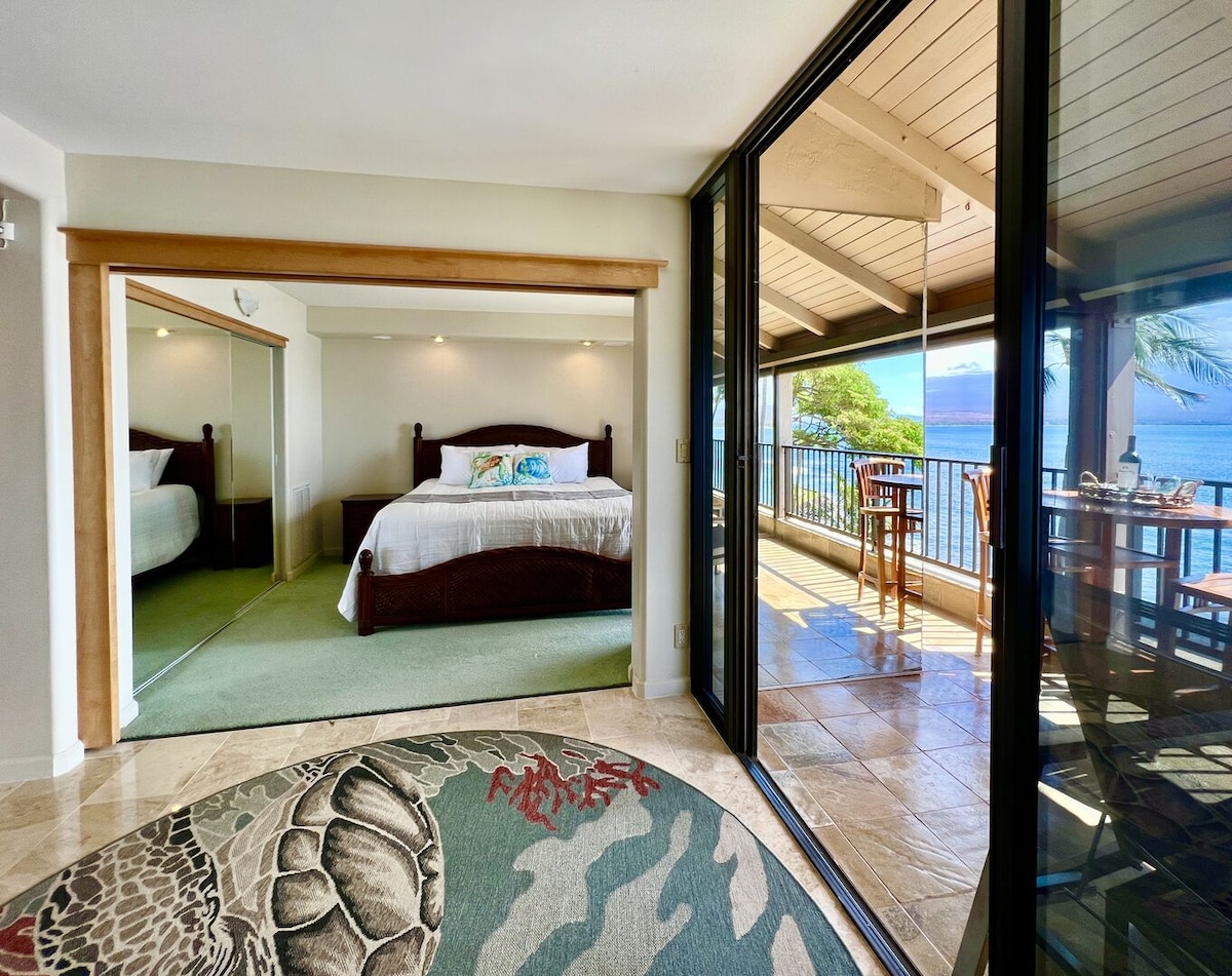 جدار من النوافذ يسمح للخارج بالدخول