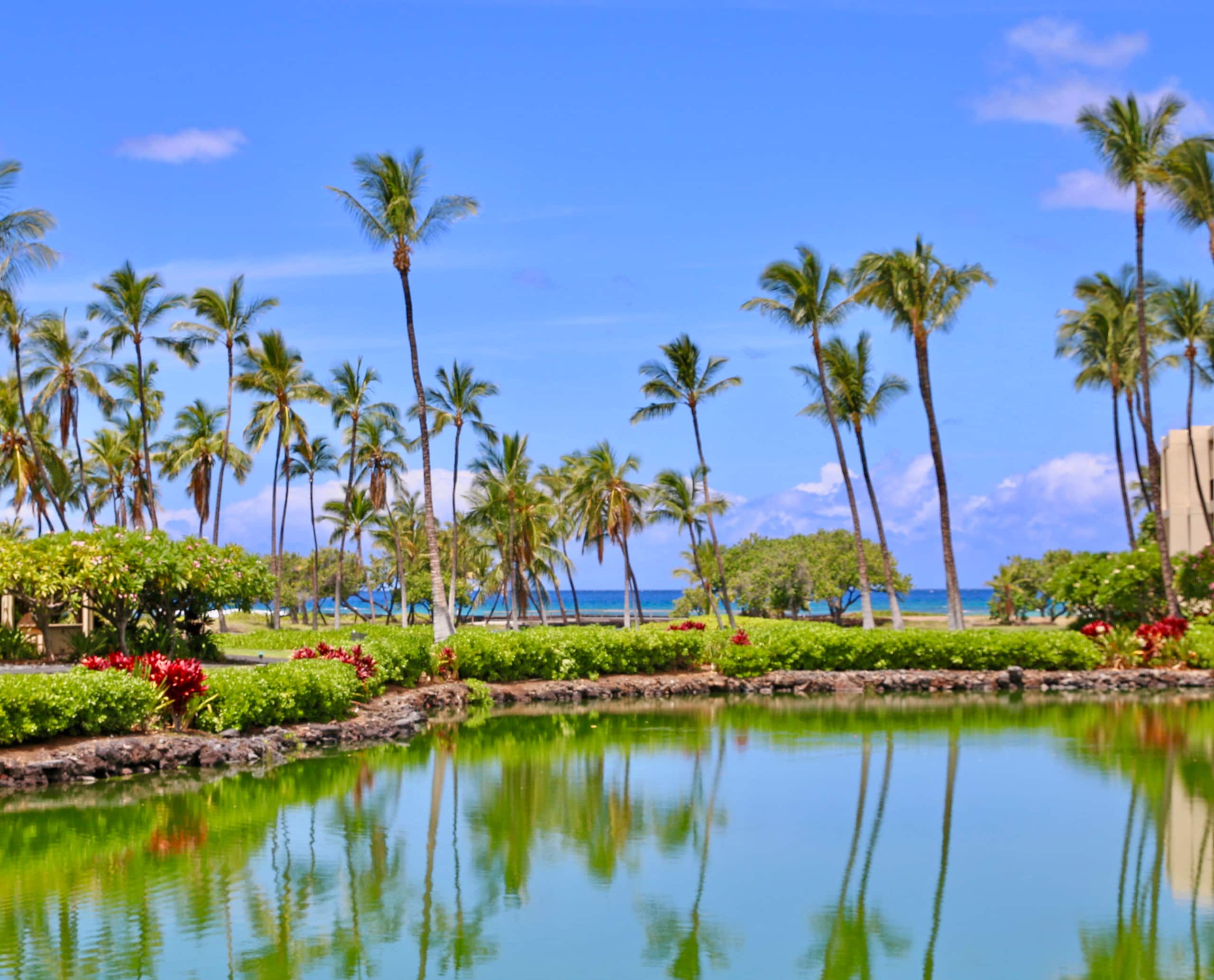 Condo in Waimea · ★5.0 · 2 bedrooms · 3 beds · 2.5 baths - Image 4