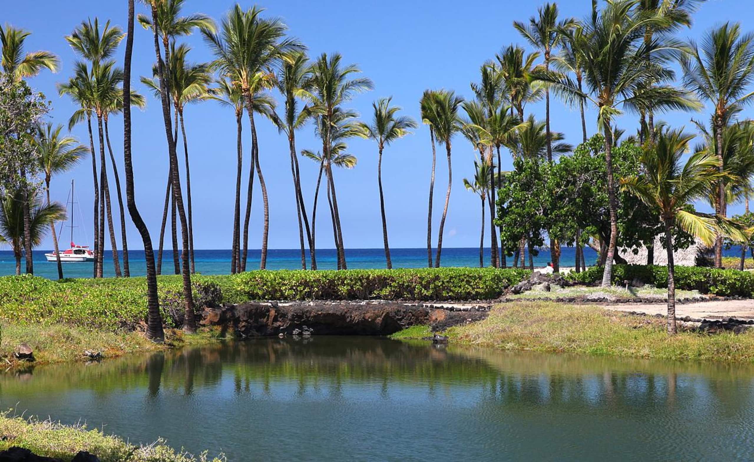 Condo in Waimea · ★5.0 · 1 bedroom · 2 beds · 2 baths - Image 18