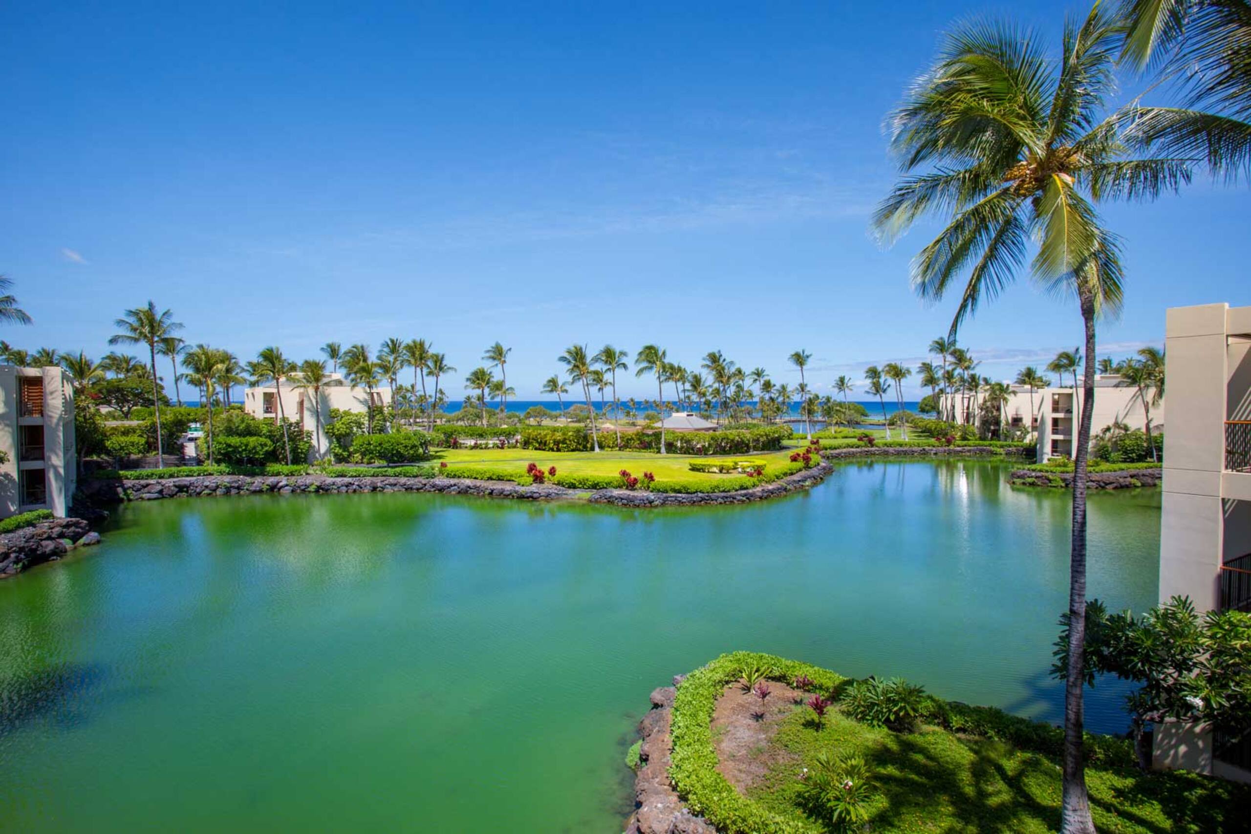 Condo in Waimea · ★5.0 · 1 bedroom · 2 beds · 2 baths - Image 4