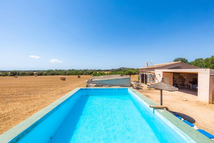 Son Julia gallery image 2