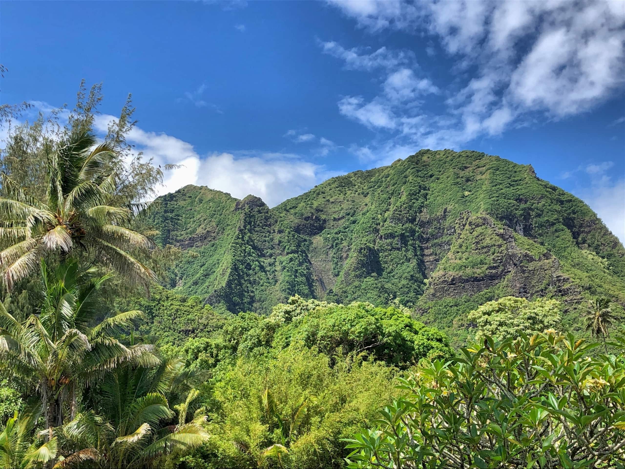 Condo in Hanalei · ★4.88 · 2 bedrooms · 2 beds · 1.5 baths - Photo 52
