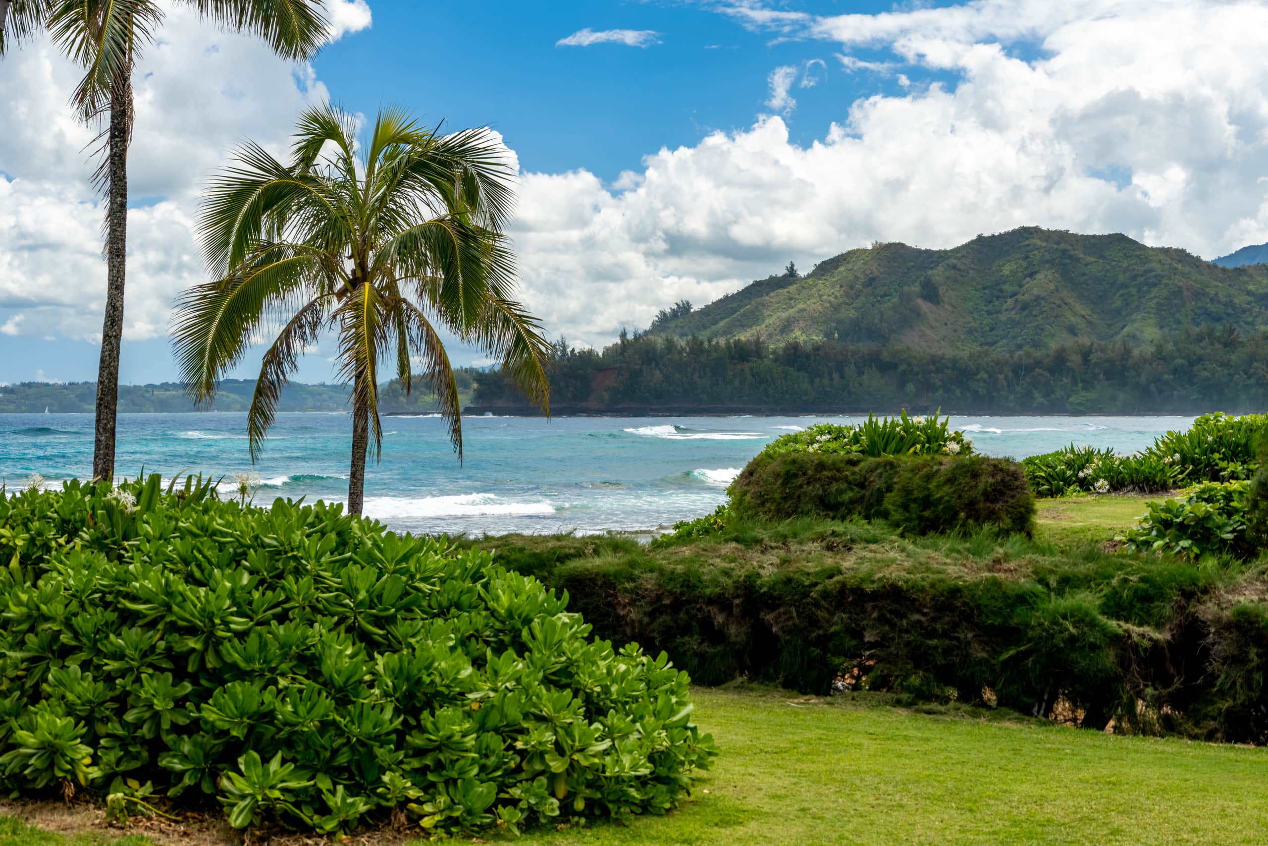 Condo in Hanalei · ★4.88 · 2 bedrooms · 2 beds · 1.5 baths - Photo 23