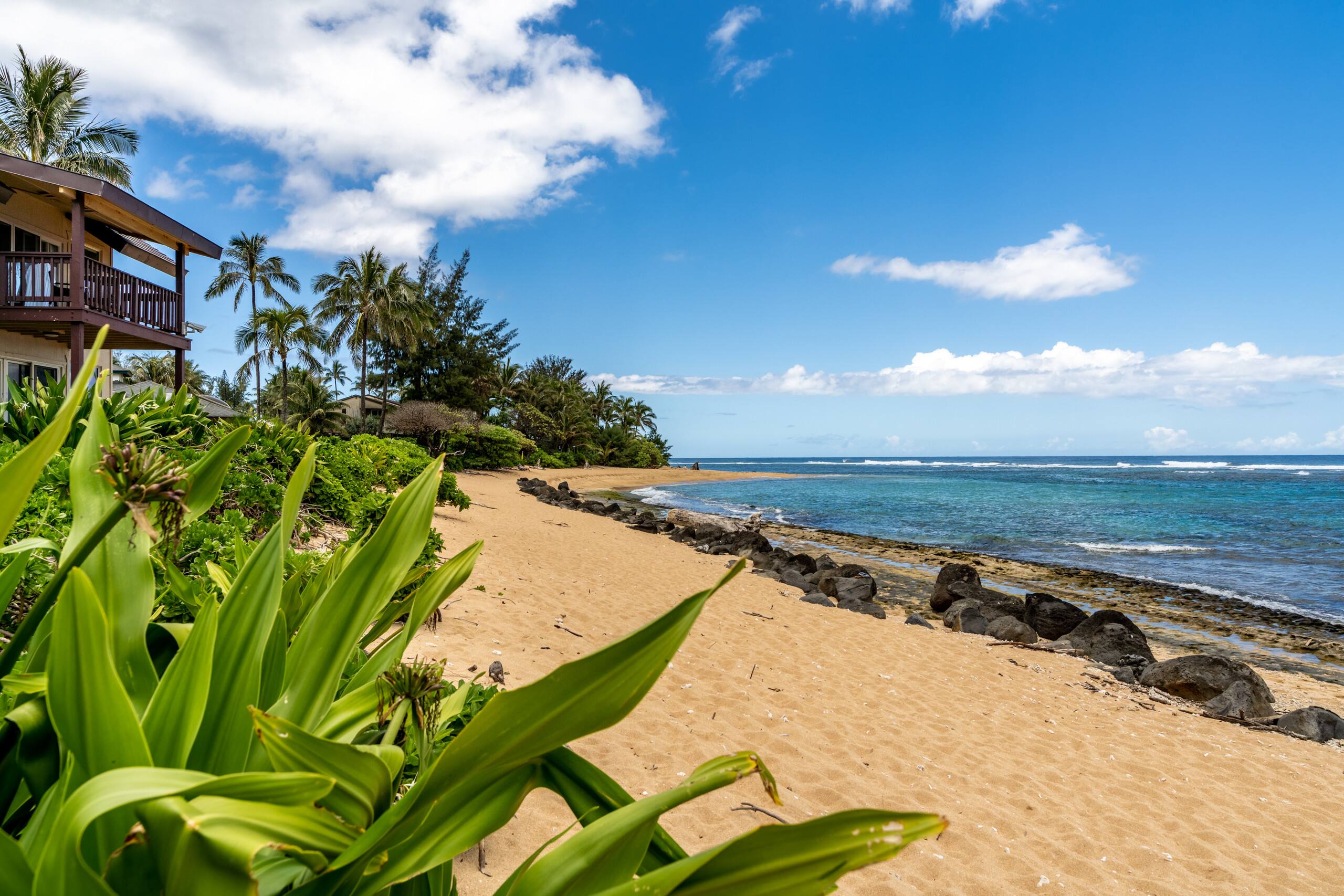 Condo in Hanalei · ★4.88 · 2 bedrooms · 2 beds · 1.5 baths - Photo 32