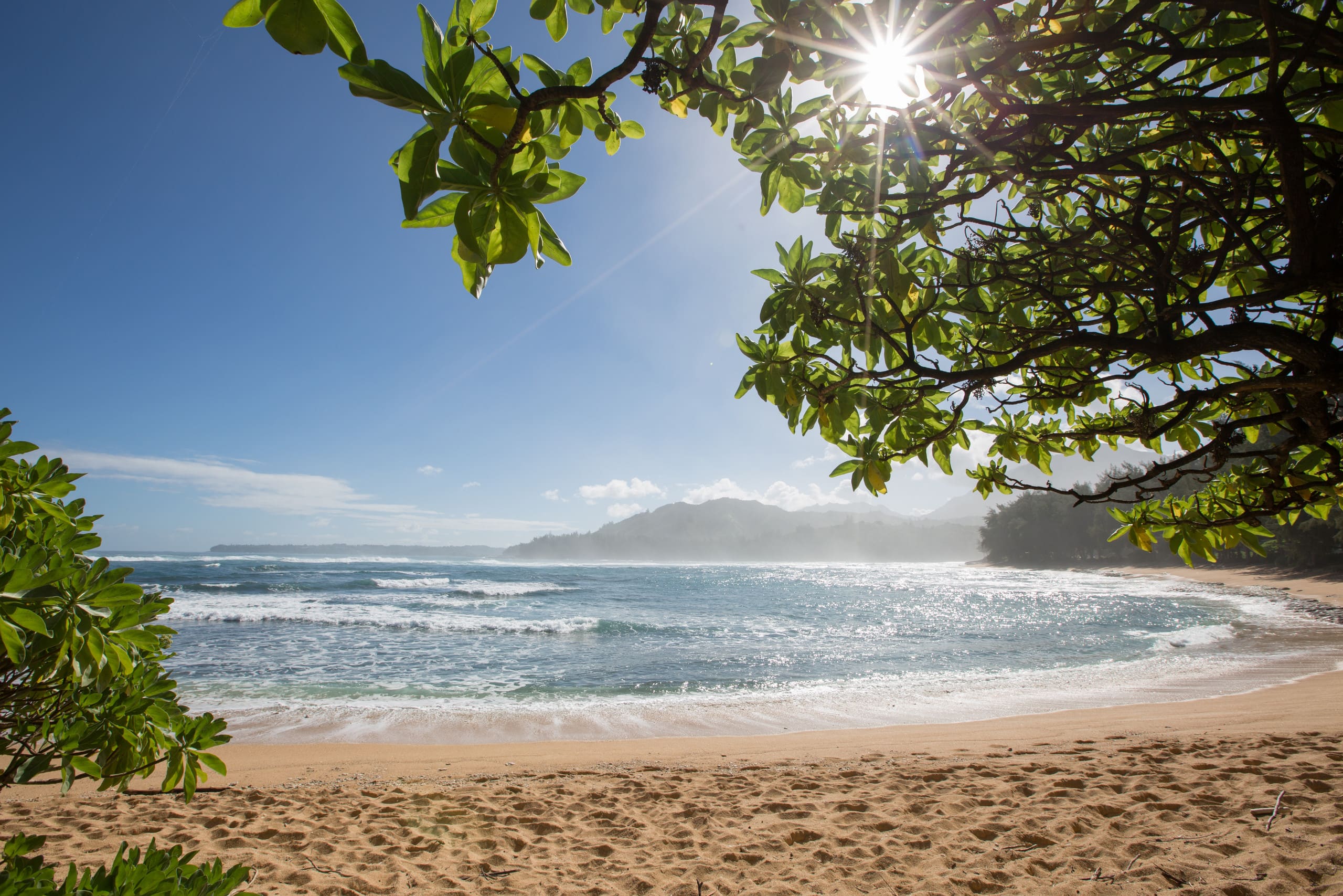 Condo in Hanalei · ★4.88 · 2 bedrooms · 2 beds · 1.5 baths - Photo 25