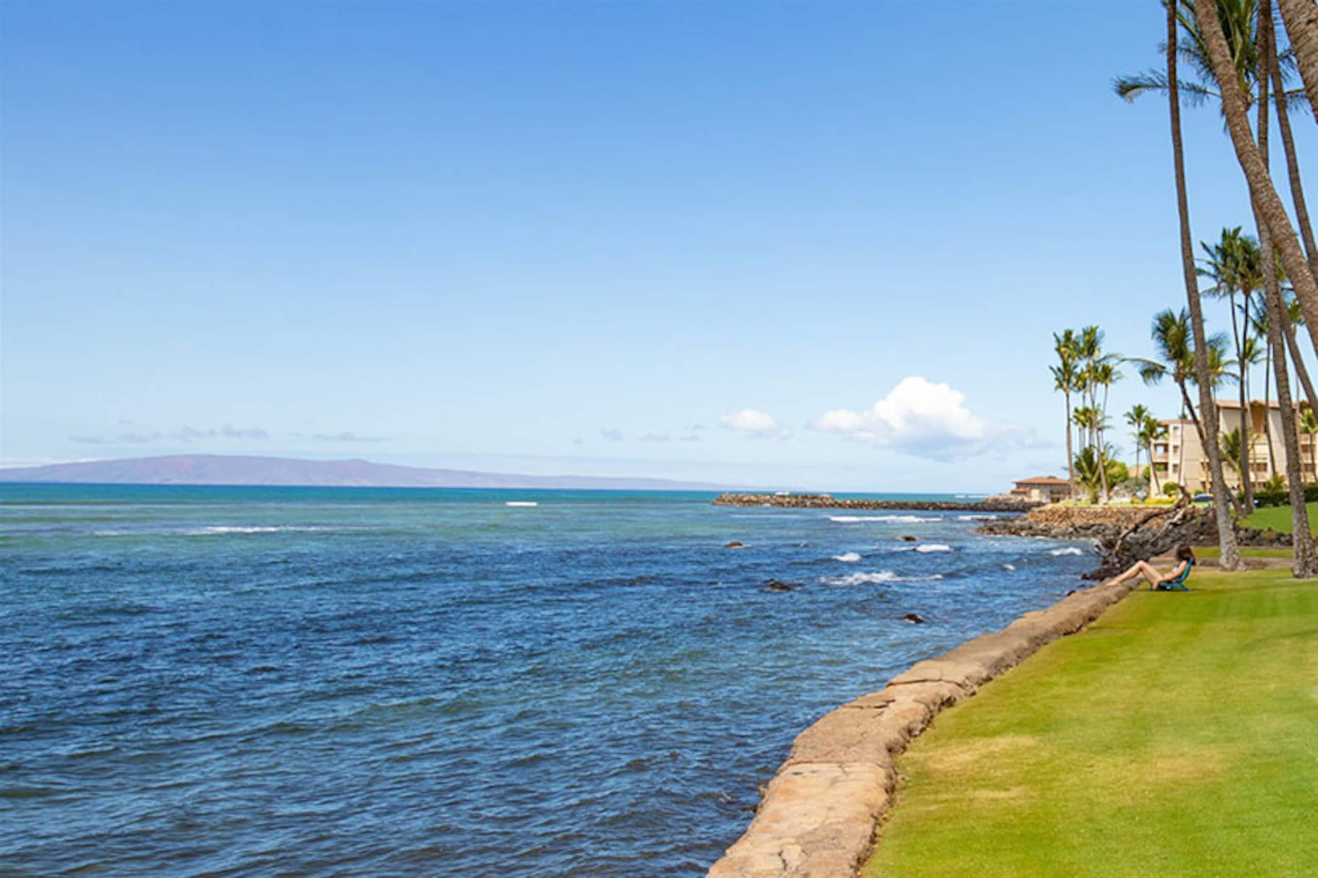 Condo in Wailuku · ★4.78 · 2 bedrooms · 2 beds · 2 shared baths - Image 26