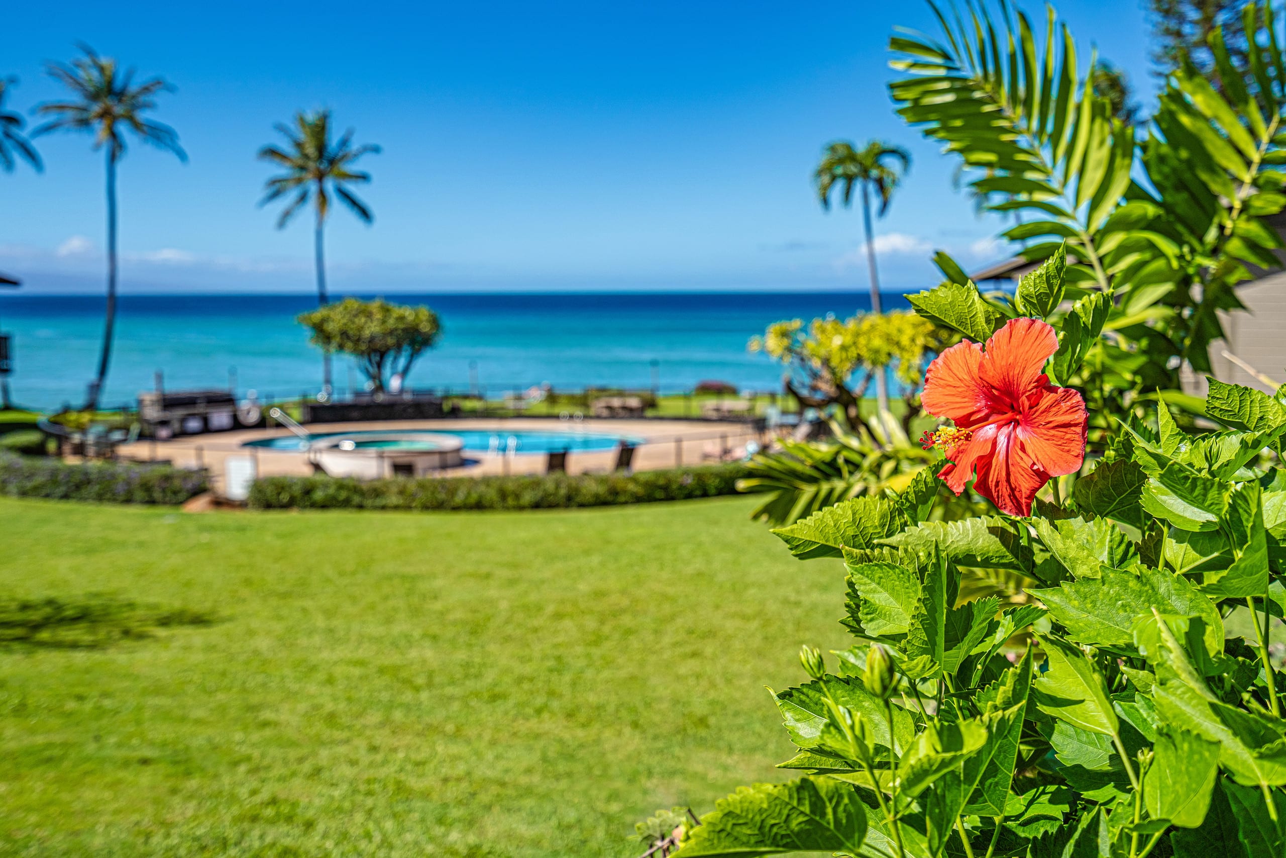 Condo in Lahaina · ★4.93 · 2 bedrooms · 2 beds · 2 private baths - Image 32