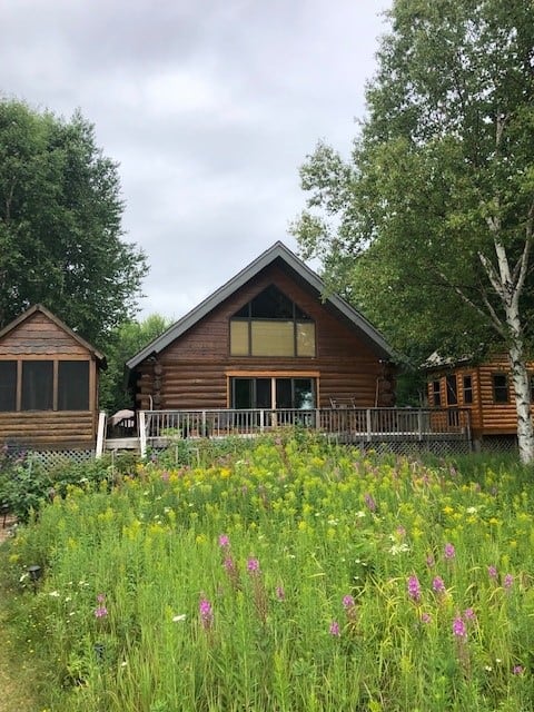 Cabin on the Cove:Golden Leaves and Tranquil Water